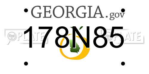 178N85 Georgia License Plate