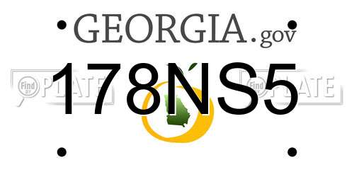178NS5 Georgia License Plate