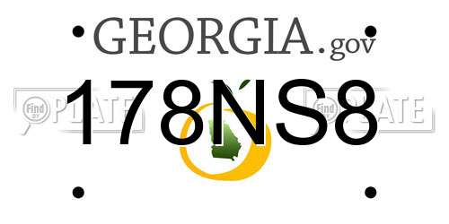 178NS8 Georgia License Plate