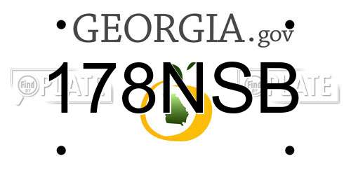 178NSB Georgia License Plate