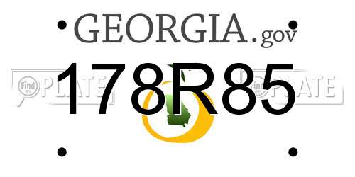 178R85 Georgia License Plate