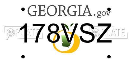 178VSZ Georgia License Plate