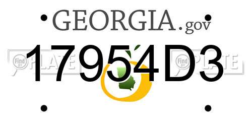 17954D3 Georgia License Plate