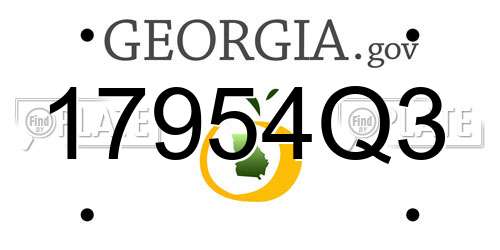 17954Q3 Georgia License Plate