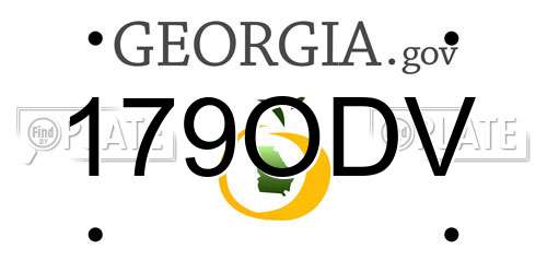 179ODV Georgia License Plate