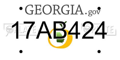 17AB424 Georgia License Plate