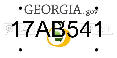 17AB541 Georgia License Plate