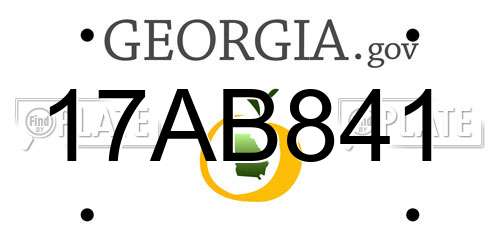 17AB841 Georgia License Plate