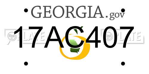 17AC407 Georgia License Plate