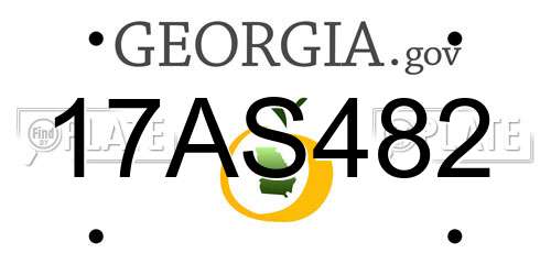 17AS482 Georgia License Plate