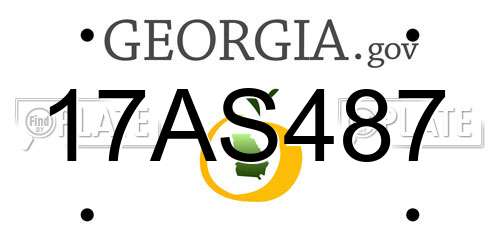 17AS487 Georgia License Plate