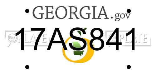 17AS841 Georgia License Plate