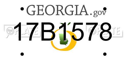 17B1578 Georgia License Plate