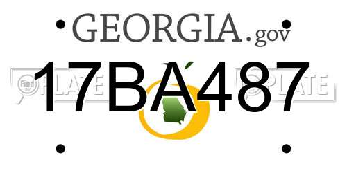 17BA487 Georgia License Plate