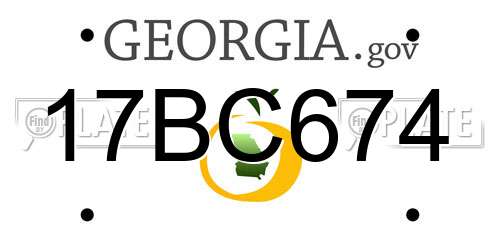 17BC674 Georgia License Plate