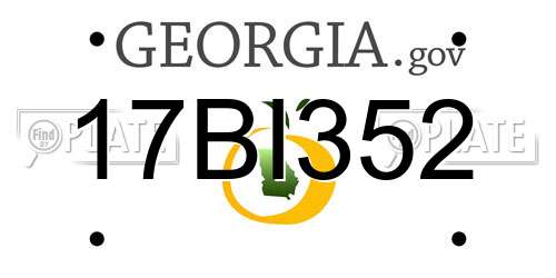 17BI352 Georgia License Plate