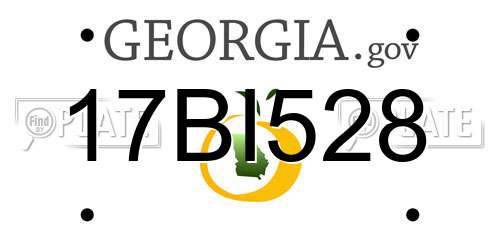 17BI528 Georgia License Plate