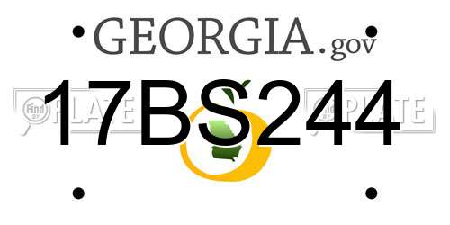 17BS244 Georgia License Plate