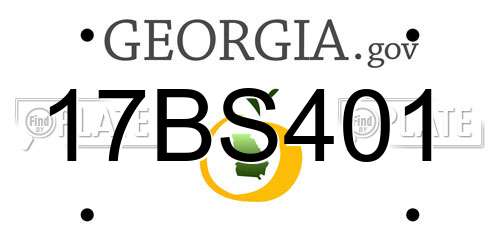 17BS401 Georgia License Plate