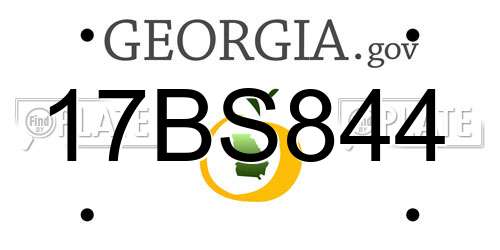 17BS844 Georgia License Plate