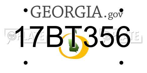17BT356 Georgia License Plate