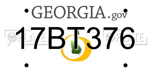 17BT376 Georgia License Plate