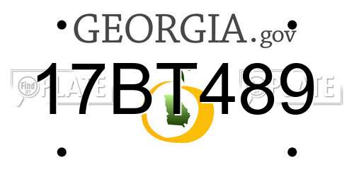 17BT489 Georgia License Plate