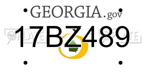 17BZ489 Georgia License Plate