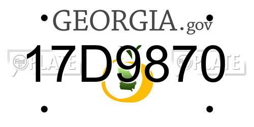 17D9870 Georgia License Plate