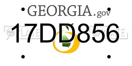 17DD856 Georgia License Plate