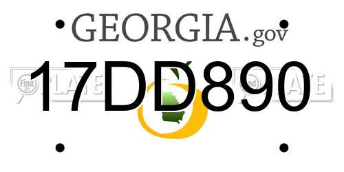 17DD890 Georgia License Plate
