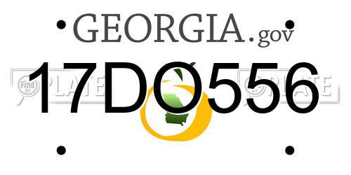 17DO556 Georgia License Plate