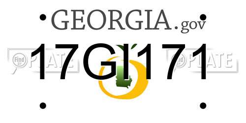 17GI171 Georgia License Plate