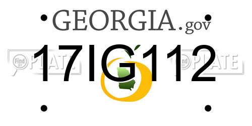 17IG112 Georgia License Plate
