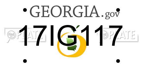 17IG117 Georgia License Plate