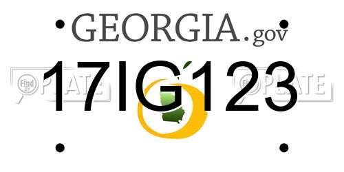 17IG123 Georgia License Plate