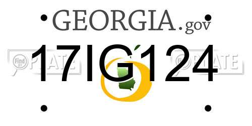 17IG124 Georgia License Plate