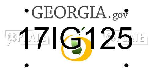 17IG125 Georgia License Plate