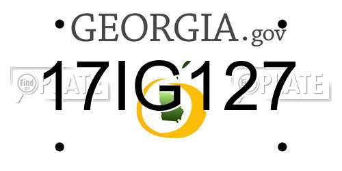 17IG127 Georgia License Plate