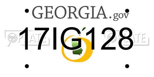 17IG128 Georgia License Plate