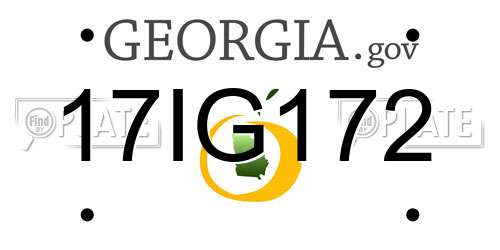 17IG172 Georgia License Plate