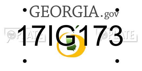 17IG173 Georgia License Plate