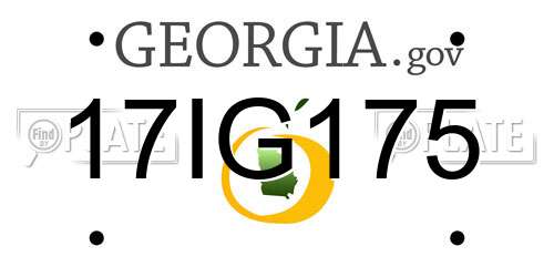 17IG175 Georgia License Plate