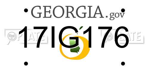 17IG176 Georgia License Plate