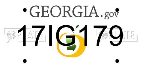 17IG179 Georgia License Plate