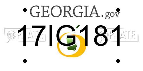 17IG181 Georgia License Plate