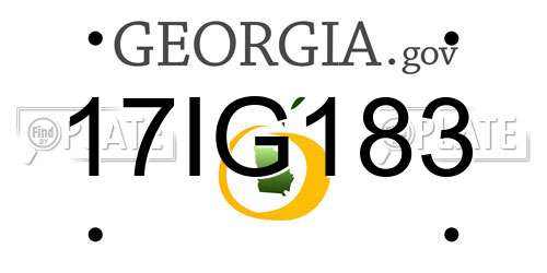 17IG183 Georgia License Plate