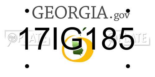 17IG185 Georgia License Plate