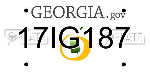 17IG187 Georgia License Plate