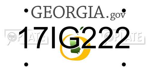 17IG222 Georgia License Plate